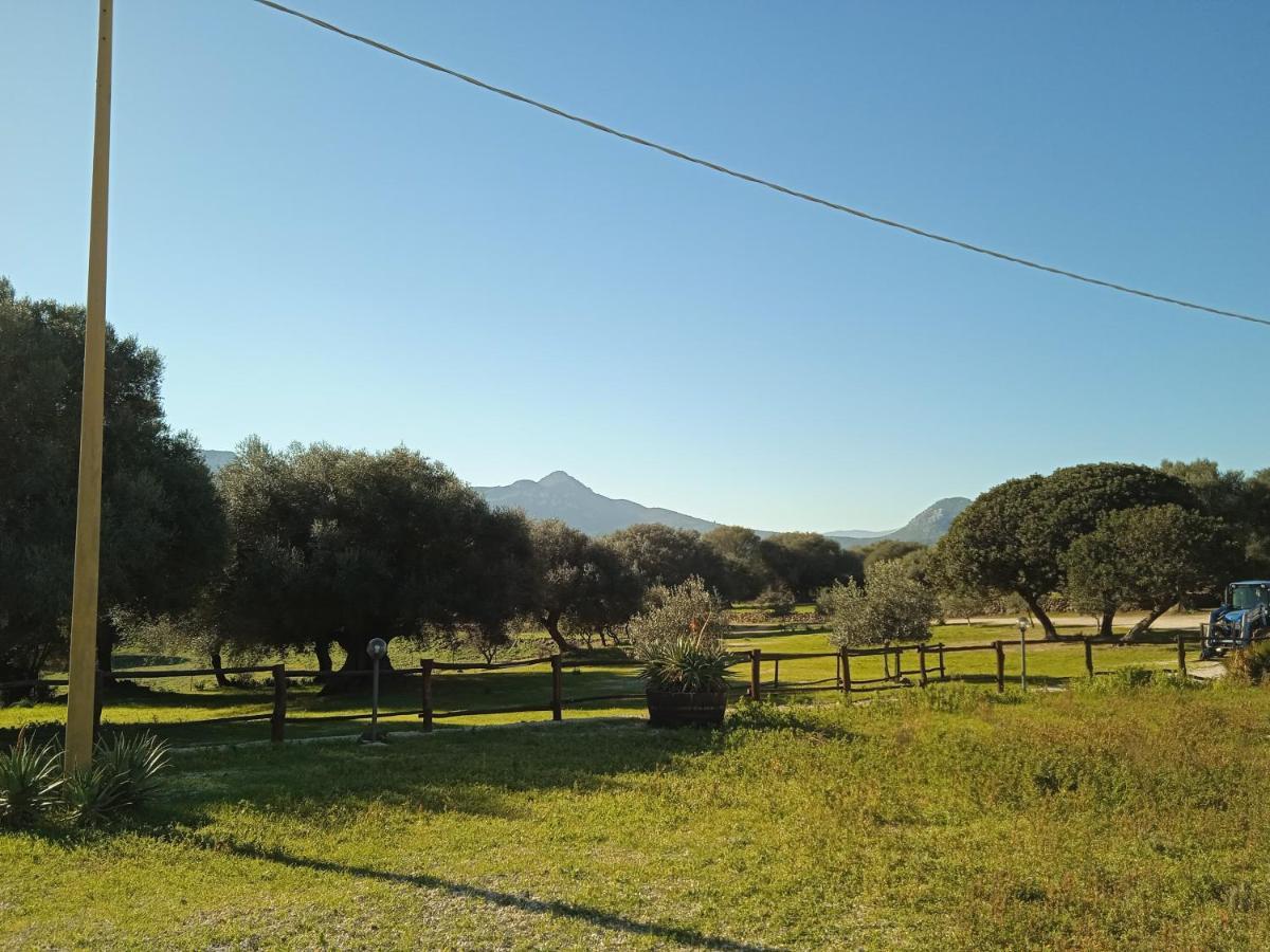 Villa Vistamare Orosei Esterno foto