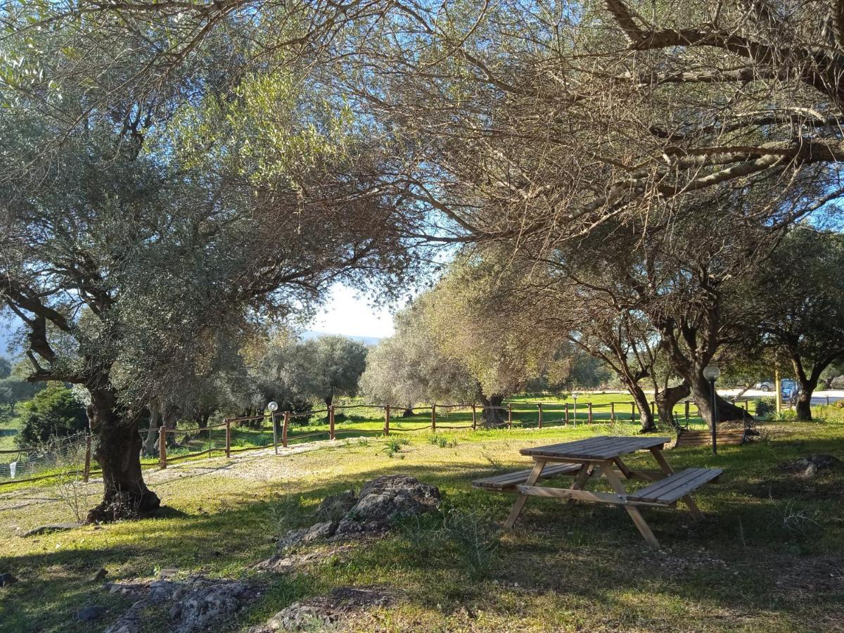Villa Vistamare Orosei Esterno foto