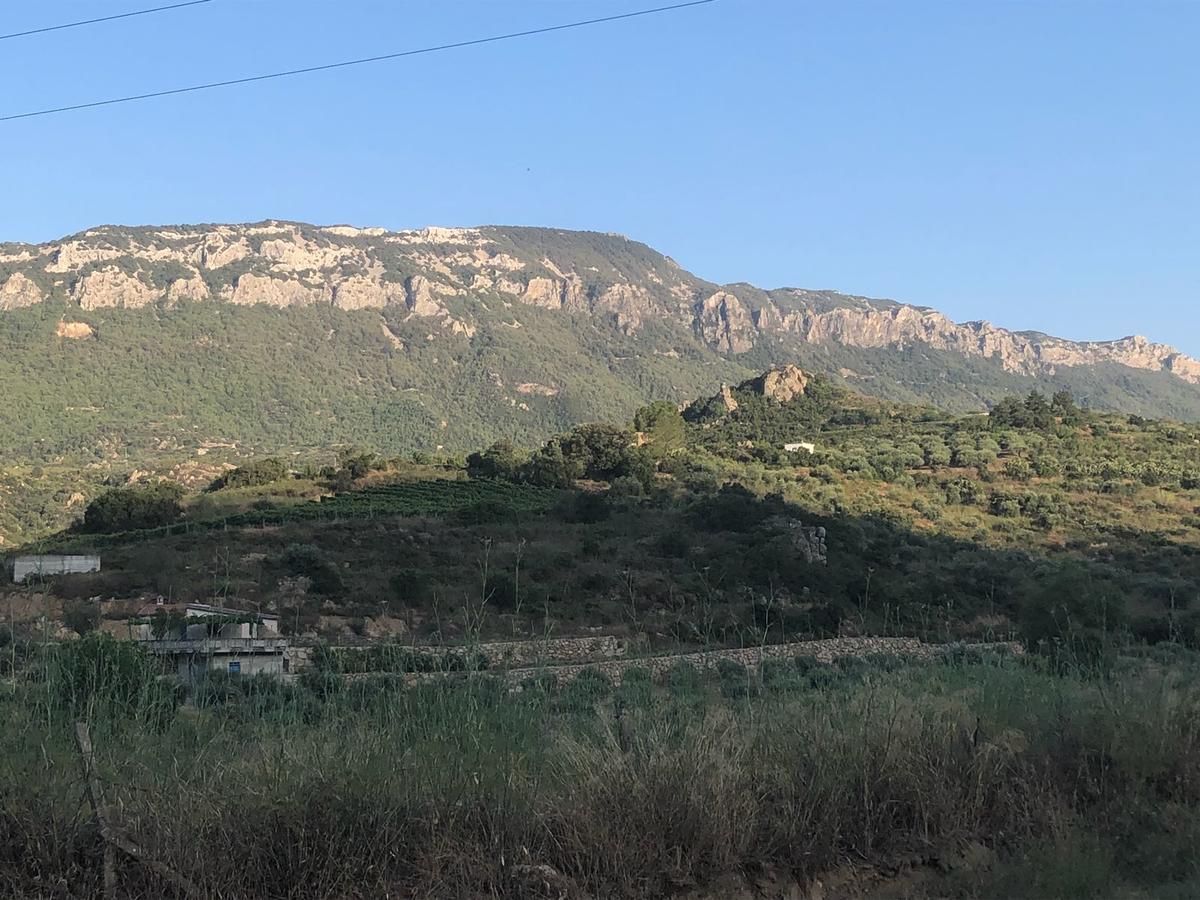 Villa Vistamare Orosei Esterno foto